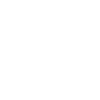 Computer Chip